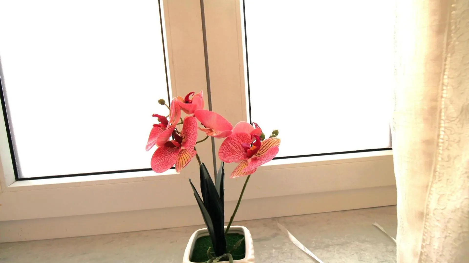 Casa Daniela Cagliari Apartment Italy